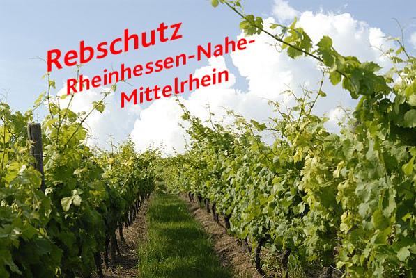 Rheinhessen Nahe Mittelrhein